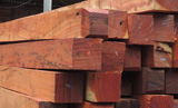 Columna 1