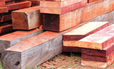 Columna 2
